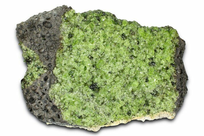Peridot Crystals in Basalt - Arizona #369516